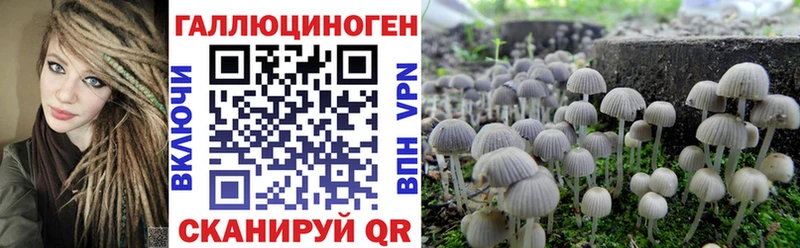 Купить закладки  Борисоглебск  Псилоцибиновые грибы прущие грибы 